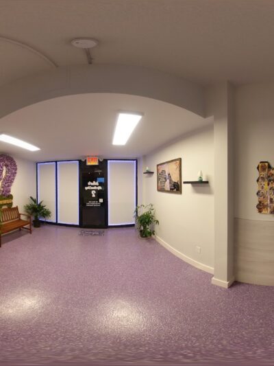 Who’s My Good Dog? - Brooklyn, NY