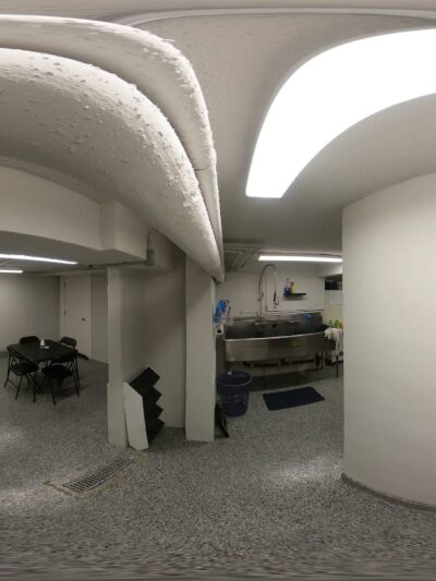 Who’s My Good Dog? - Brooklyn, NY