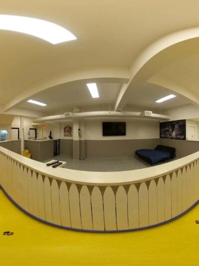 Who’s My Good Dog? - Brooklyn, NY