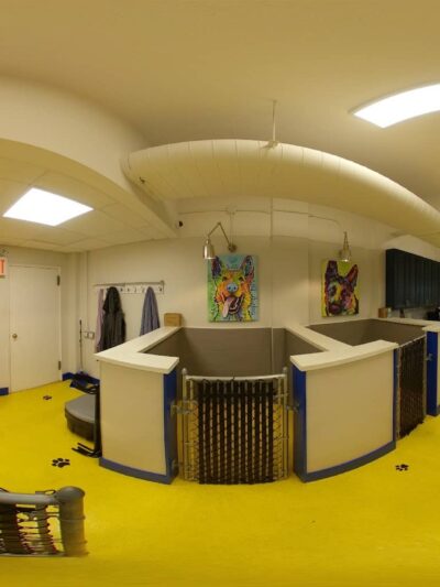 Who’s My Good Dog? - Brooklyn, NY