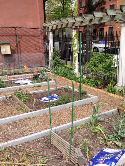 Willowtown - Brooklyn, NY