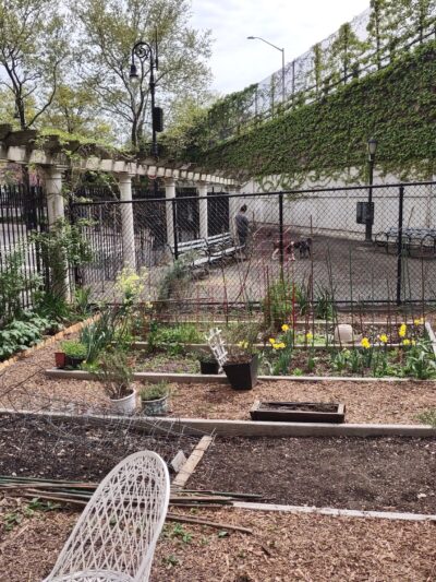 Willowtown - Brooklyn, NY