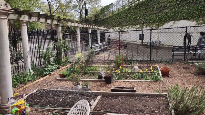 Willowtown - Brooklyn, NY