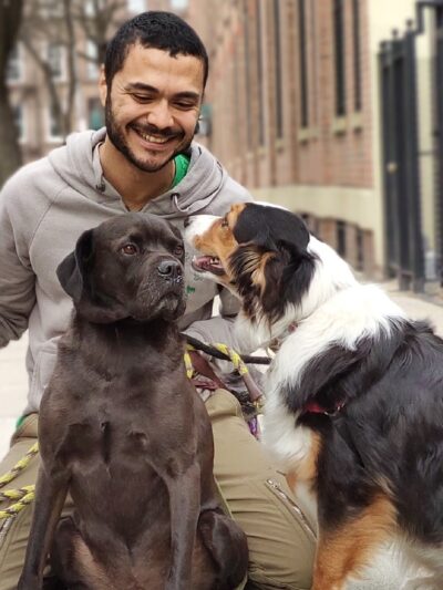Woofs & Wags - Brooklyn, NY
