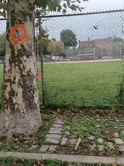 Bath Beach Park - Brooklyn, NY