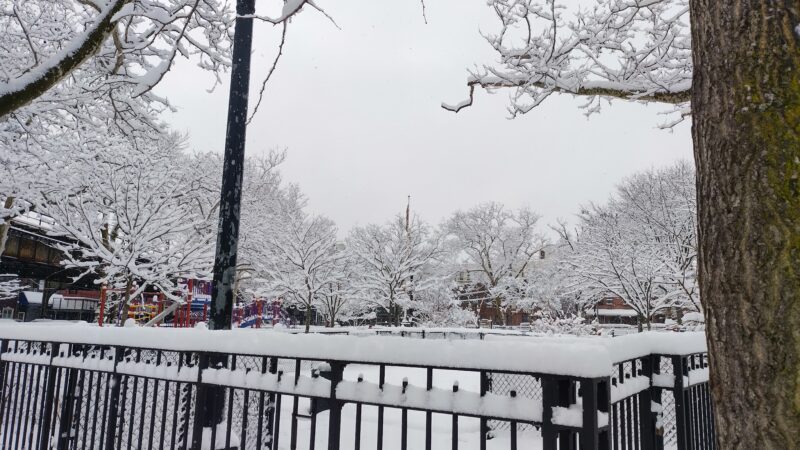 Brizzi Playground - Brooklyn, NY