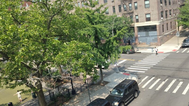 Brizzi Playground - Brooklyn, NY
