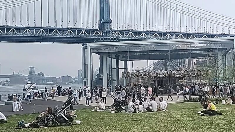 Brooklyn Bridge Park Dog Run - Brooklyn, NY