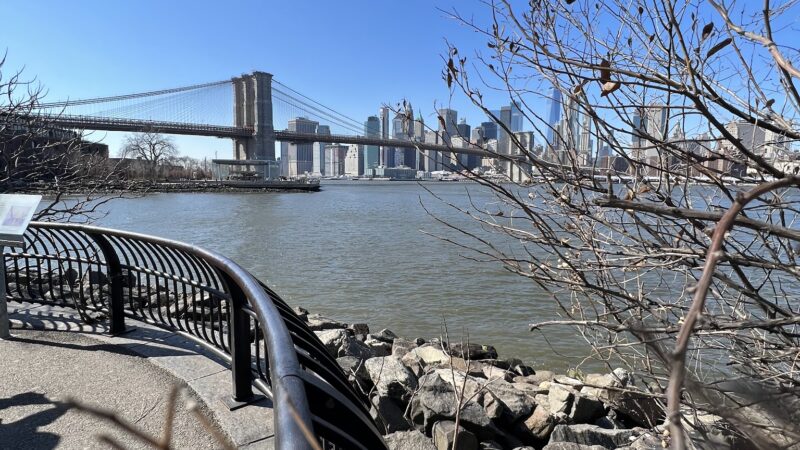 Brooklyn Bridge Park Dog Run - Brooklyn, NY