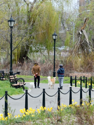 Calvert Vaux Park - Brooklyn, NY