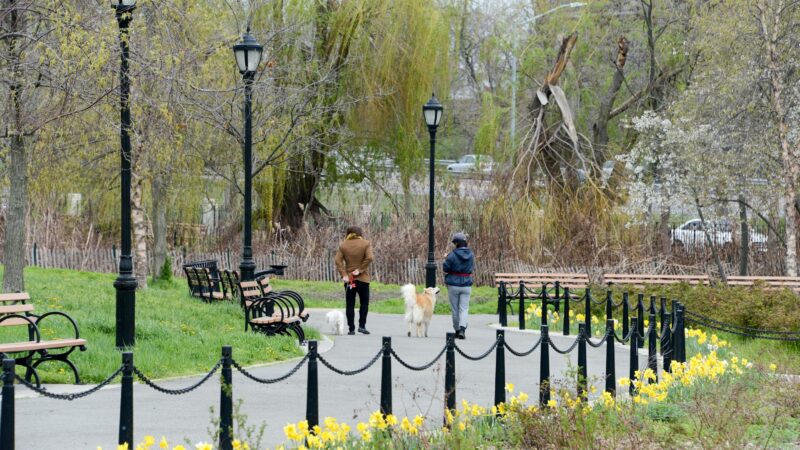 Calvert Vaux Park - Brooklyn, NY