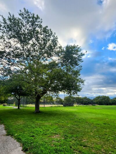 Canarsie Park - Brooklyn, NY