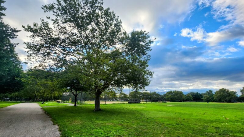 Canarsie Park - Brooklyn, NY
