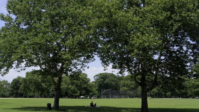 Canarsie Park - Brooklyn, NY