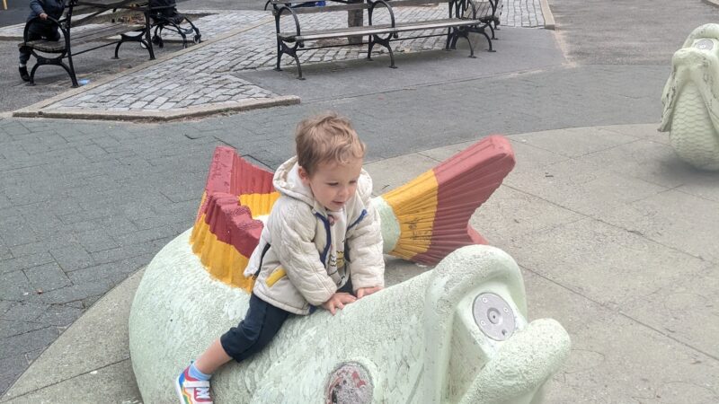 Classon Playground - Brooklyn, NY