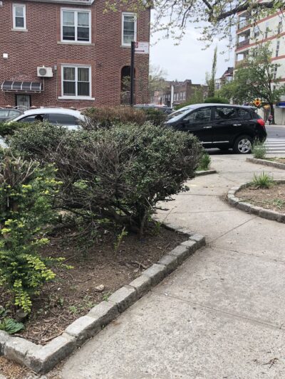 Dahill Triangle - Brooklyn, NY