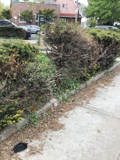 Dahill Triangle - Brooklyn, NY