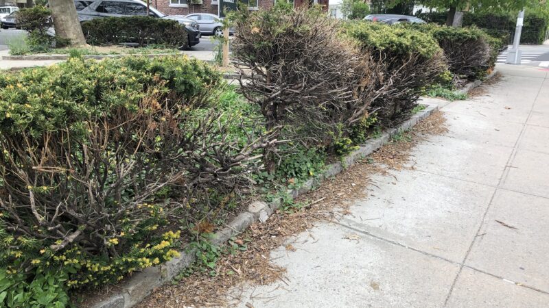 Dahill Triangle - Brooklyn, NY