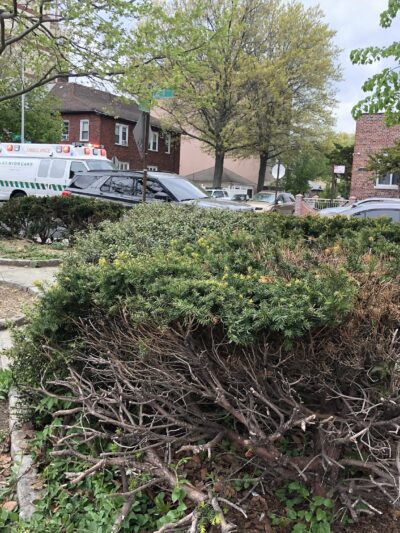 Dahill Triangle - Brooklyn, NY