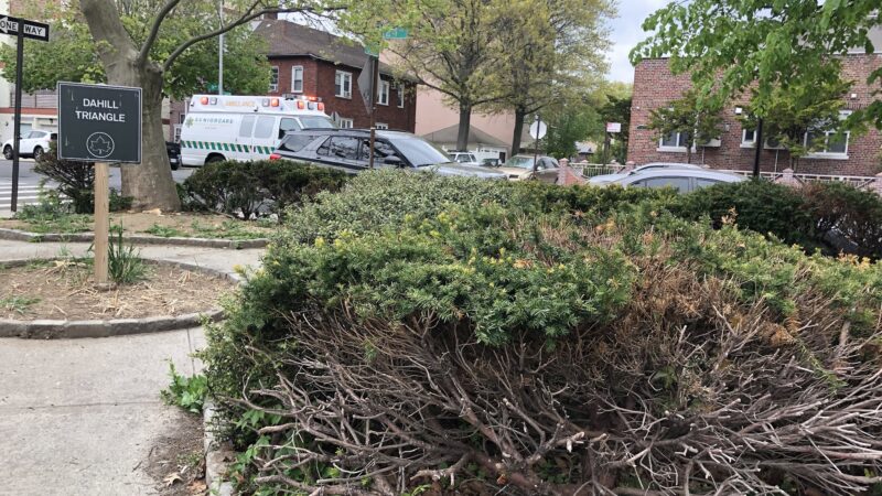 Dahill Triangle - Brooklyn, NY