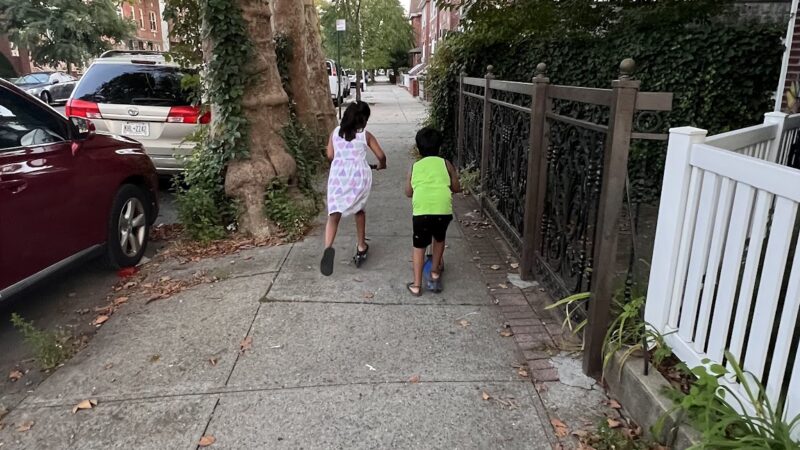 Dahill Triangle - Brooklyn, NY