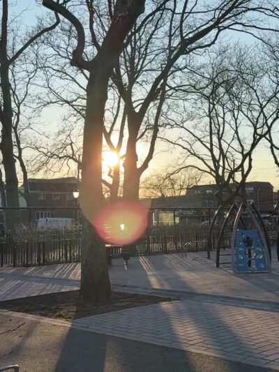 Dr. John's Playground - Brooklyn, NY