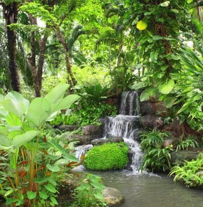 Fallkill Falls - Brooklyn, NY