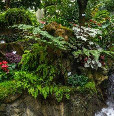 Fallkill Falls - Brooklyn, NY