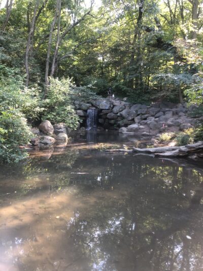 Fallkill Falls - Brooklyn, NY