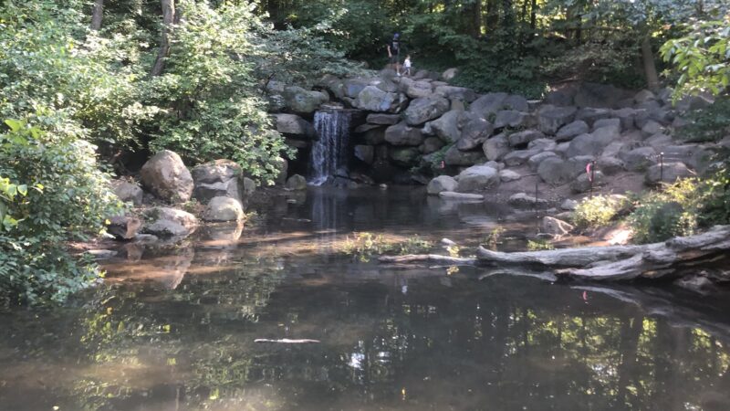 Fallkill Falls - Brooklyn, NY