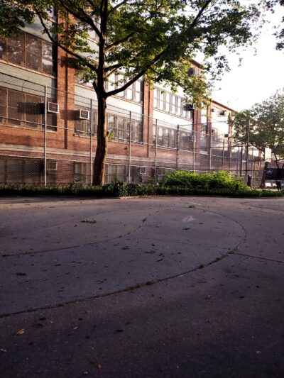 Fish Playground - Brooklyn, NY
