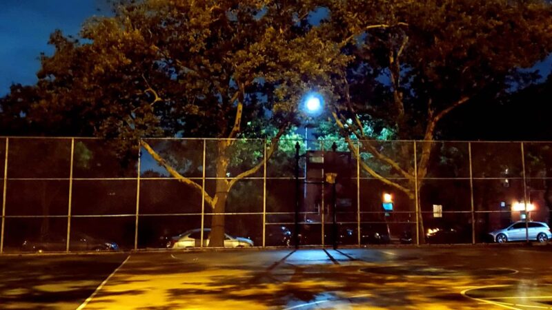 Fish Playground - Brooklyn, NY