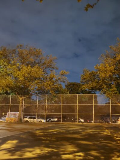 Fish Playground - Brooklyn, NY