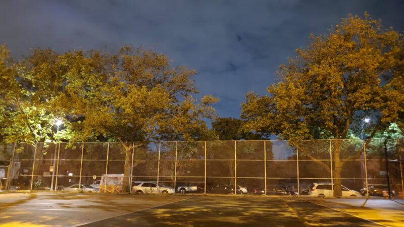 Fish Playground - Brooklyn, NY