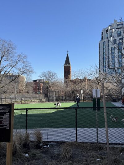 Marcy Green South - Brooklyn, NY