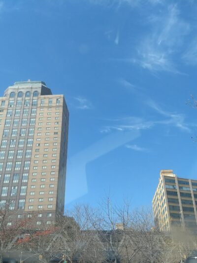 Maritcha R. Lyons Park - Brooklyn, NY