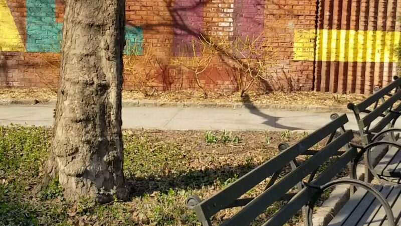 Maritcha R. Lyons Park - Brooklyn, NY