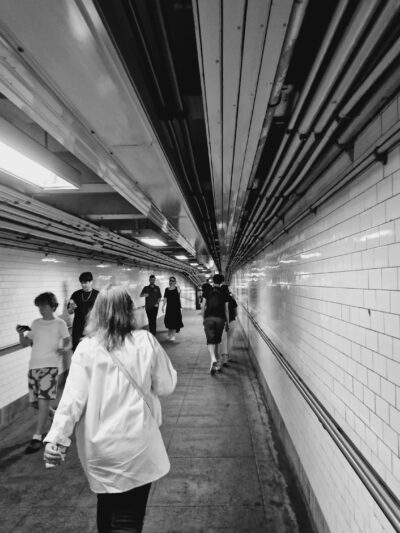 Maritcha R. Lyons Park - Brooklyn, NY