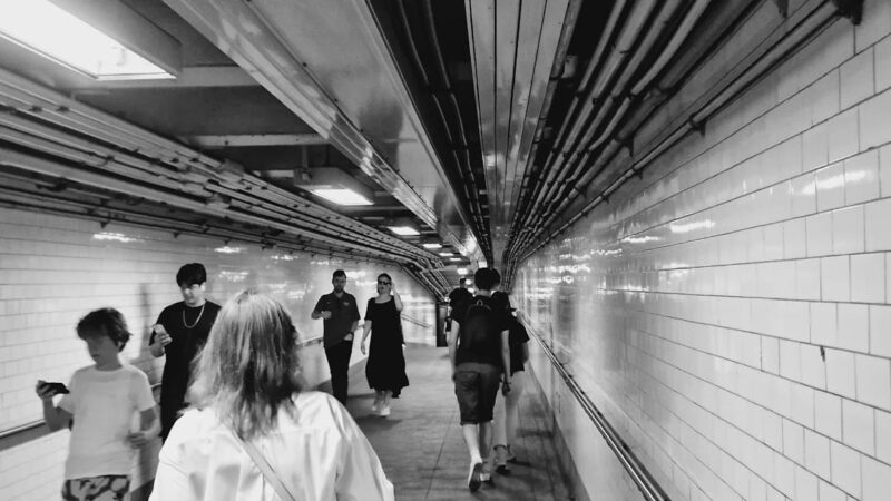 Maritcha R. Lyons Park - Brooklyn, NY