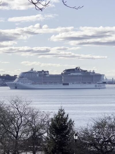 Owl's Head Park Dog Run - Brooklyn, NY