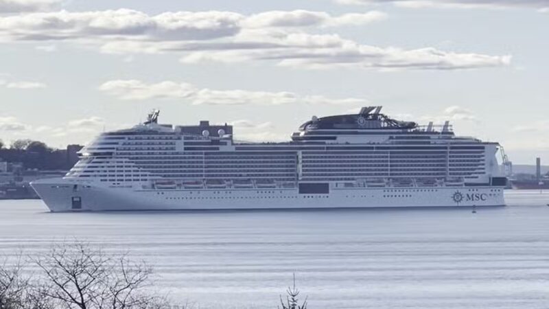 Owl's Head Park Dog Run - Brooklyn, NY