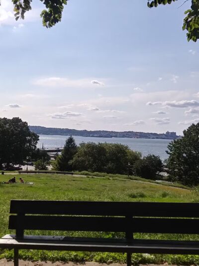 Owl's Head Park Dog Run - Brooklyn, NY