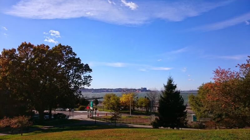Owl's Head Park Dog Run - Brooklyn, NY