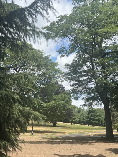 Owl's Head Park Dog Run - Brooklyn, NY