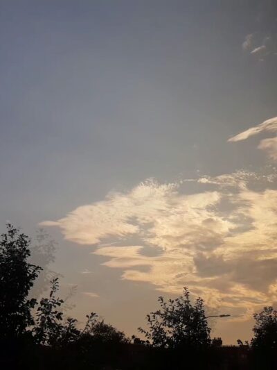 Pink Playground - Brooklyn, NY