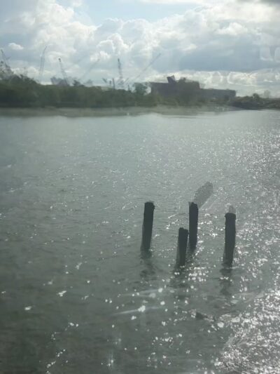 Pink Playground - Brooklyn, NY