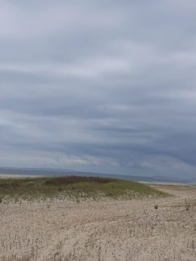 Pink Playground - Brooklyn, NY