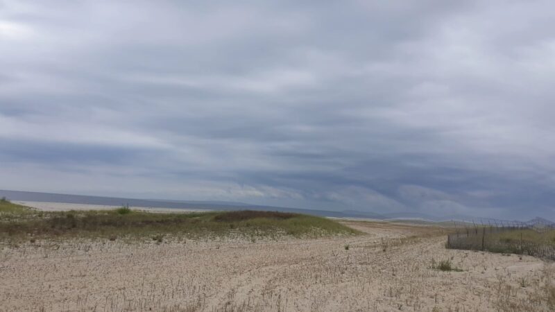 Pink Playground - Brooklyn, NY