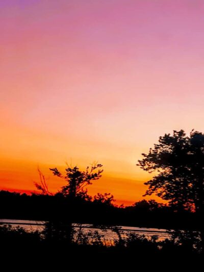 Pink Playground - Brooklyn, NY
