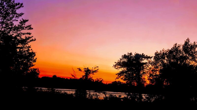 Pink Playground - Brooklyn, NY